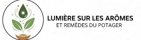 lumière sur les plantes aromatiques et médicinales